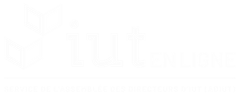 logo iut en ligne